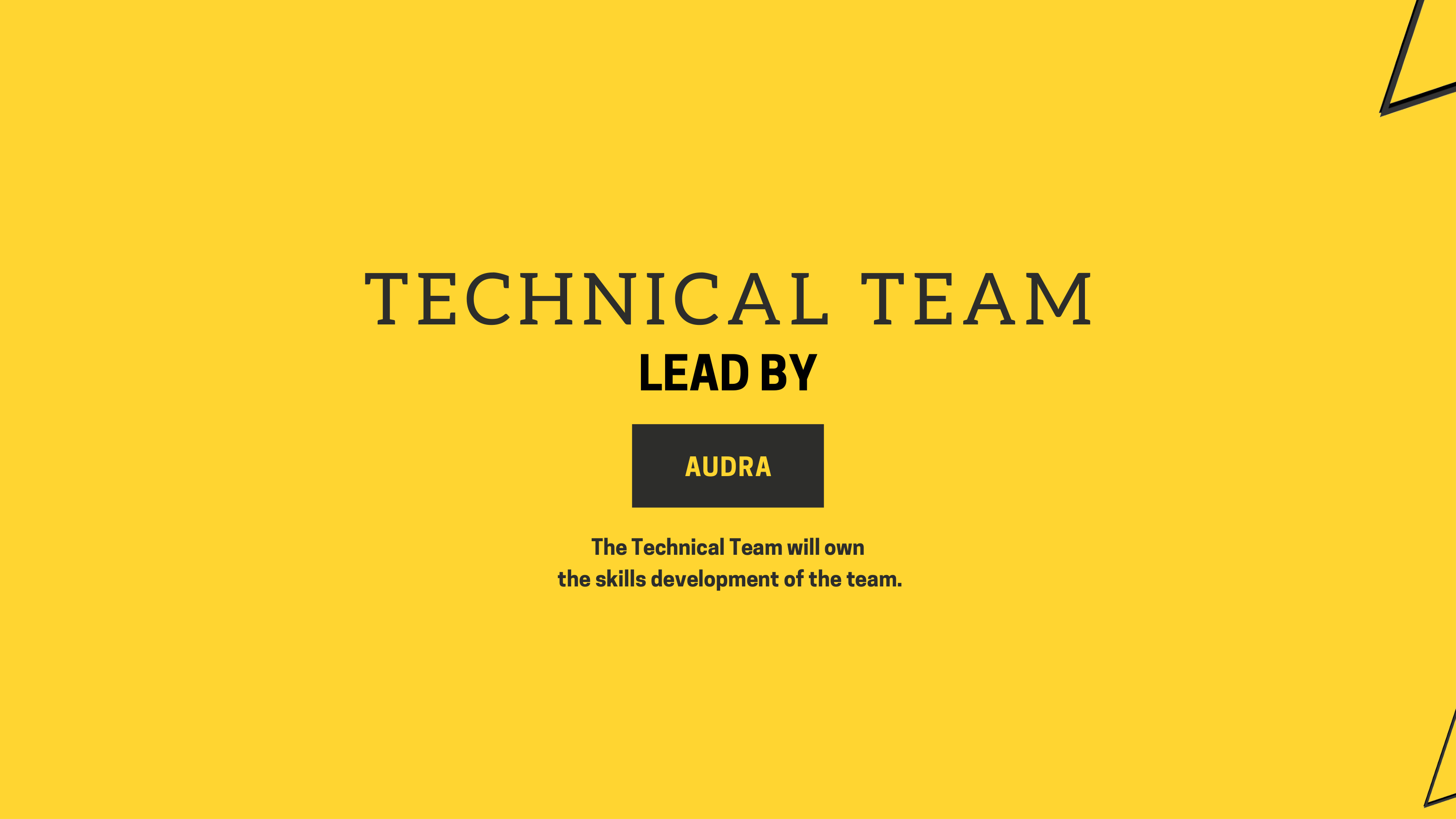 Technical Team, ownership and lead